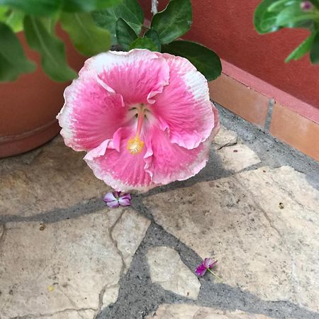 美景酒店 Copán 外观 照片