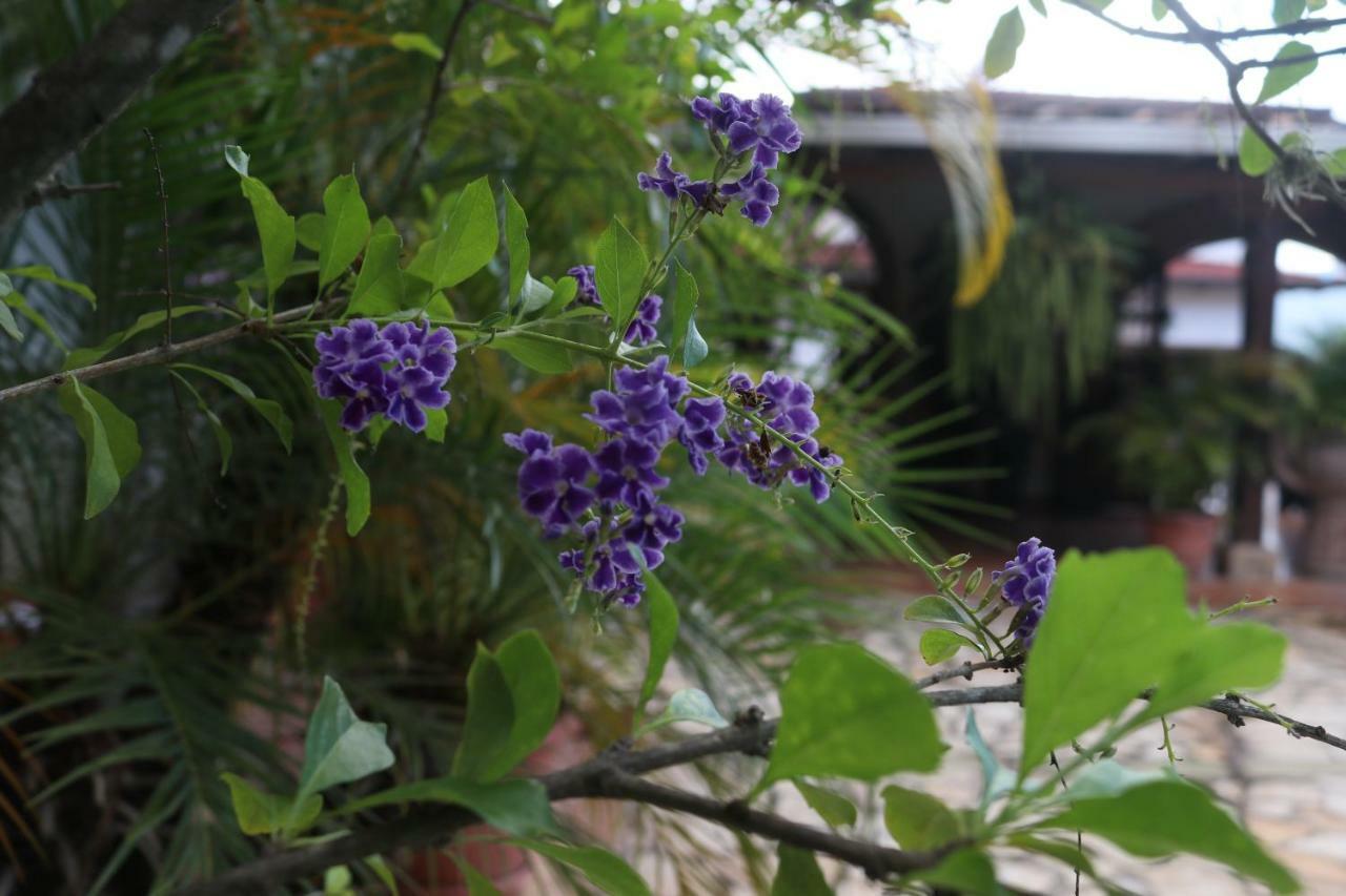 美景酒店 Copán 外观 照片
